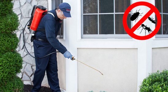Evka 6 Kene İlaçlama böcek ilaçlama ve haşere kontrolü — ilaclama-tr.com